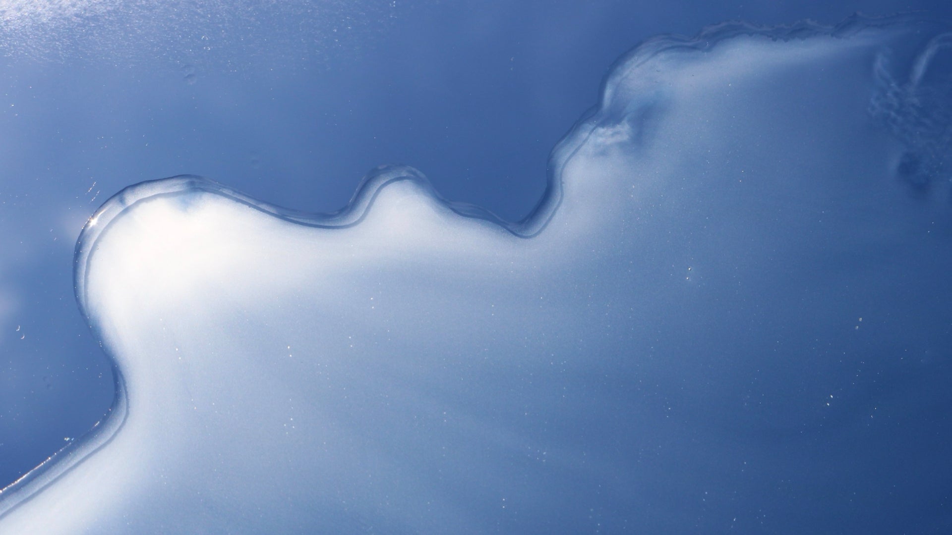 scalp_serum_header_pic.001.jpg